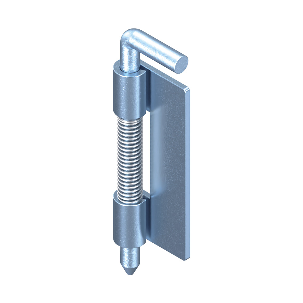 Stainless Steel Cane Bolt Removable Pin Hinge